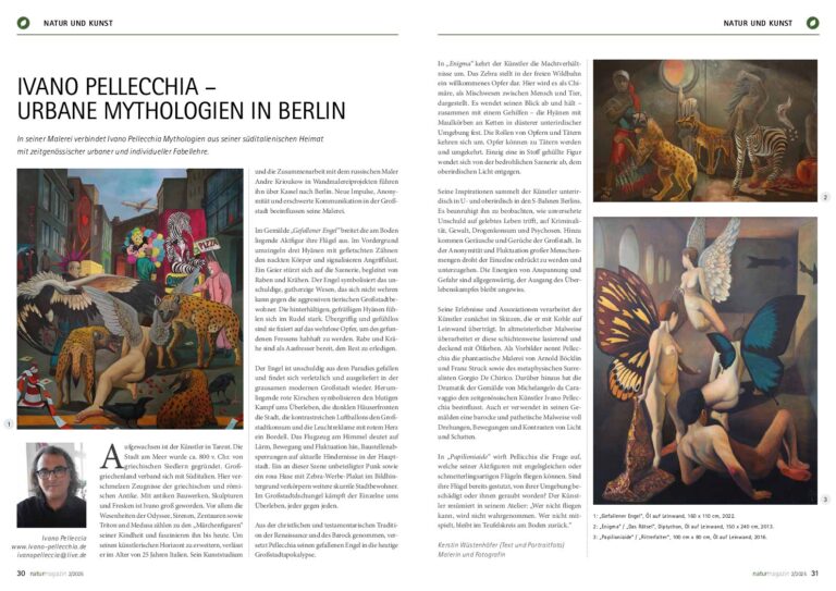 Ivano Pellecchia - Presse Artikel - Natur und Kunst
